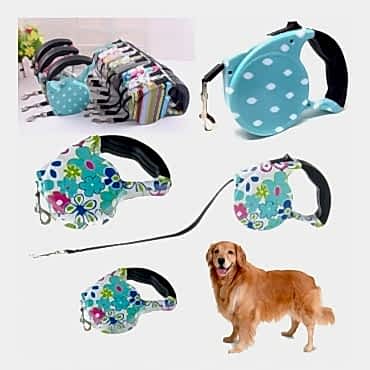 Desenli Köpek Tasması - Pup Style