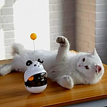 Mama Hazneli Hacıyatmaz Oyuncağı 