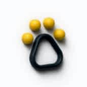 PETSHOP & EVCİL HAYVAN