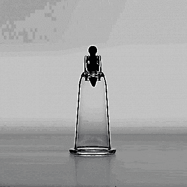 1 Numara Hacamat Kupası 100 Adet