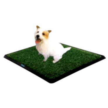 Köpek Tuvalet Eğitim Seti