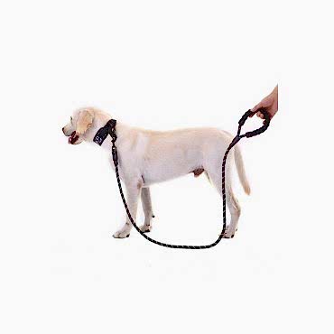 Reflektörlü Köpek Tasması 130 Cm.