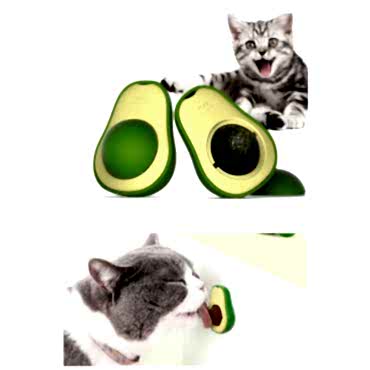 Avokado Tasarımlı Kedi Yalama Topu