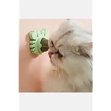 Yengeç Kedi Otu Oyun Topu