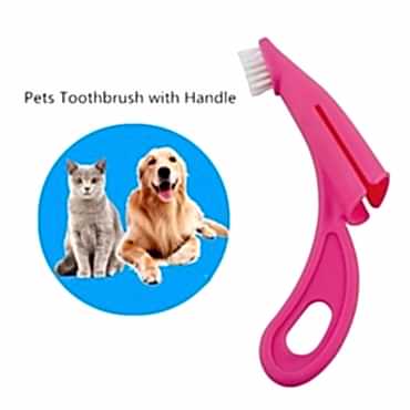 Ergonomik Evcil Hayvan Diş Fırçası
