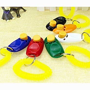 KÖPEK EĞITIMI CLICKER