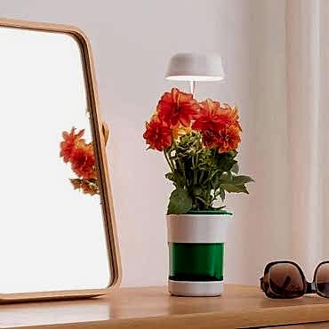 Hızlı Bitki Yetiştirme Saksısı