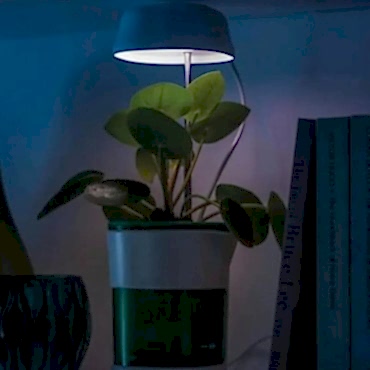 Hızlı Bitki Yetiştirme Saksısı