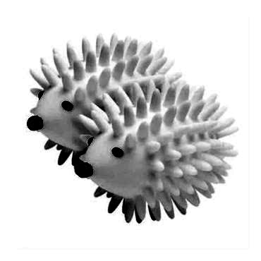 Kirpi Tasarımlı Çamaşır Tüy Toplama Topu