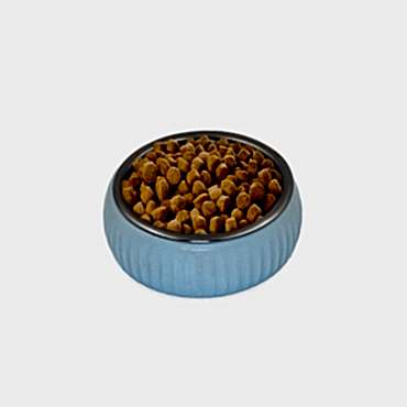 Mikopet Organik Seramik Mama Kabı Mavi