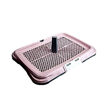 Mikopet Köpek Eğitim Tuvalet Kabı - Büyük Boy