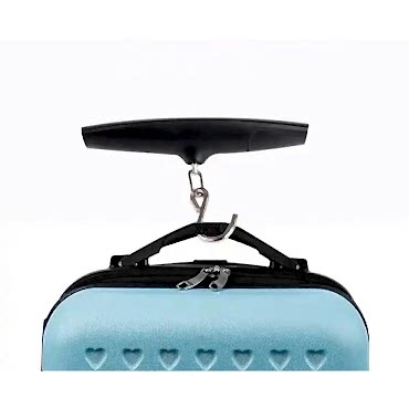 Taşınabilir Elektronik El Tartısı