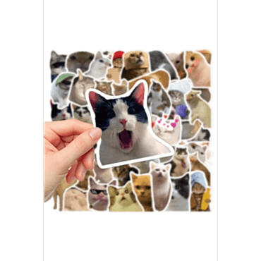  Çılgın Kediler Macbook Notebook Tablet Telefon Ajanda Laptop Defter Sticker Seti