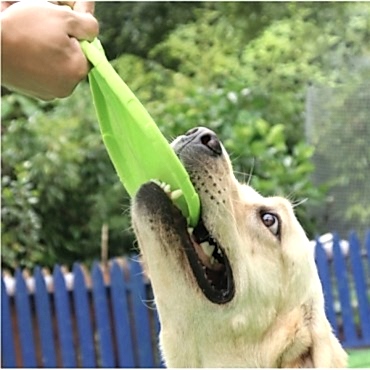 Silikon Frizbi Köpek Oyuncağı 