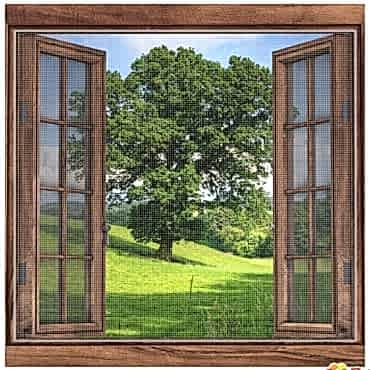 Yapışkanlı Çift Kanat Sineklik 