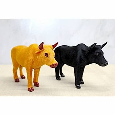 Tüylü Boğa Biblosu 