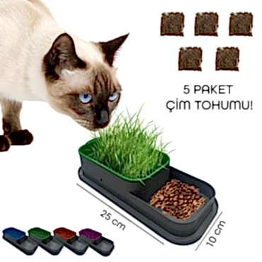 Topraksız Kedi Çimi Kabı 