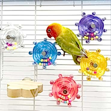 Çıngıraklı Kuş Kafesi İçin Çark Oyuncağı 