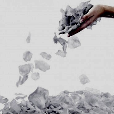 Beyaz Renk Gül Yaprağı - 5 Paket 500 Adet