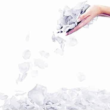 Beyaz Renk Gül Yaprağı - 10 Paket 1000 Adet