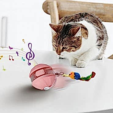Şarjlı Hareketli Kedi Topu Oyuncak 