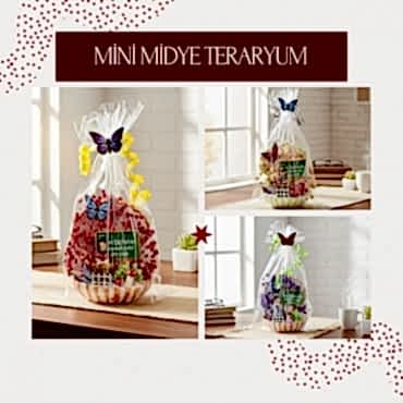 Mini Midye Teraryum - Öğretmenler Günü Hediyesi