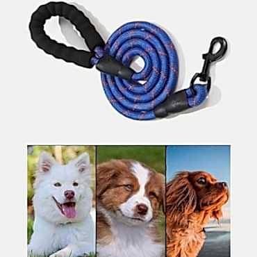 Evcil Hayvan Reflektörlü Fitil Gezdirme Tasması 10 mm x 120 cm 