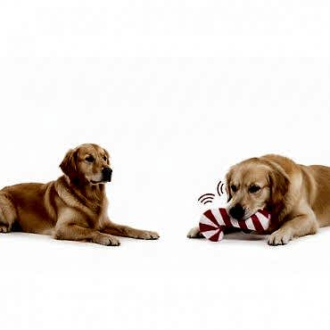 Sesli Baston Şeker Oyuncak 