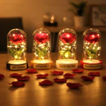 İncili Ledli Gül Fanus 