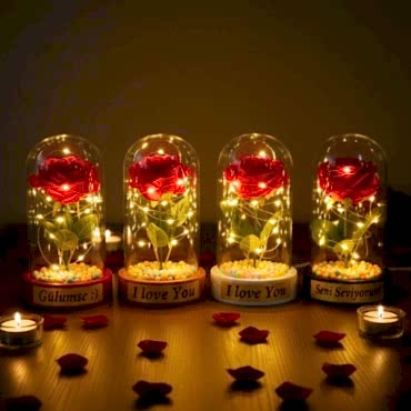 Renkli Toplu Ledli Gül Fanus 