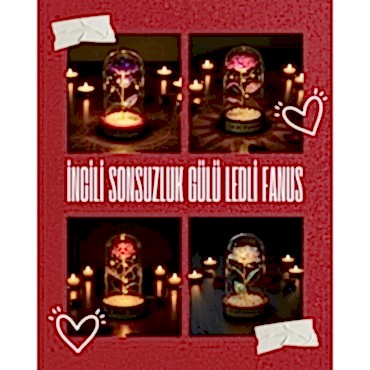 İncili Sonsuzluk Gülü Ledli Fanus 