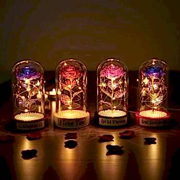 İncili Sonsuzluk Gülü Ledli Fanus 