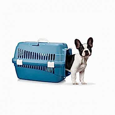 Orta Boy Evcil Hayvan Taşıma Çantası