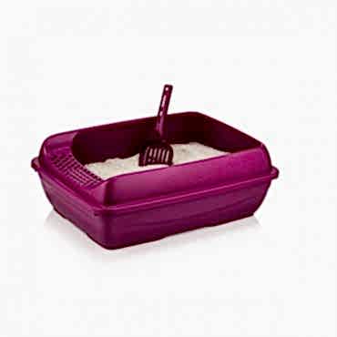 Elekli Açık Küçük Kedi Tuvaleti