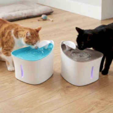 Otomatik Kedi Su Pınarı 